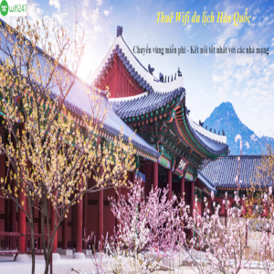 Thuê wifi đi Hàn Quốc - Thuê cục phát wifi ở Hàn Quốc uy tín